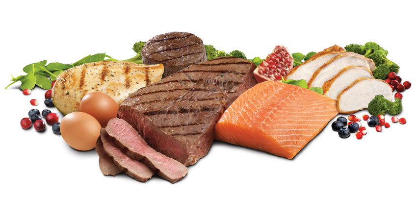 Protein su važni u zaštiti organizma